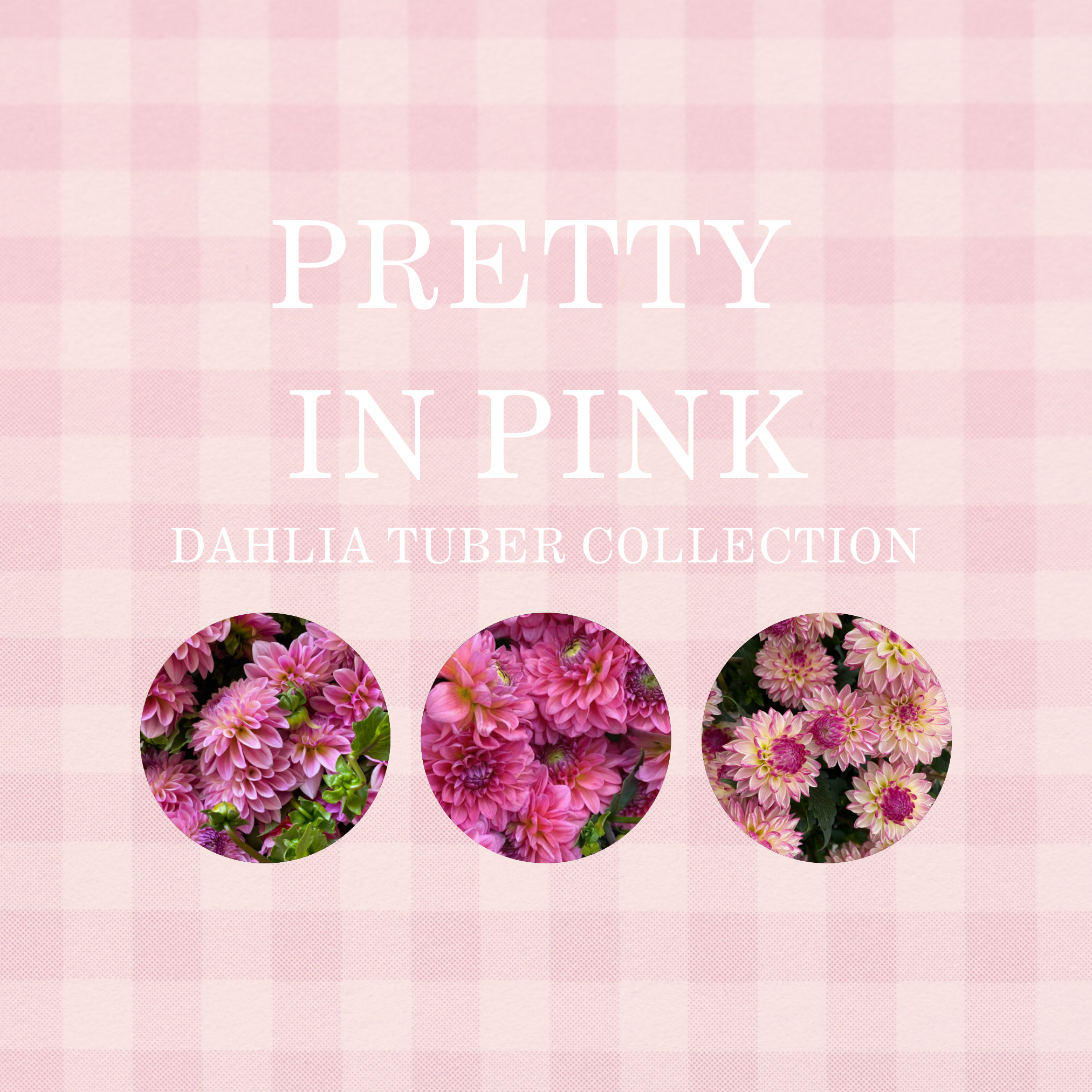 PRETTY IN PINK COLLECTION