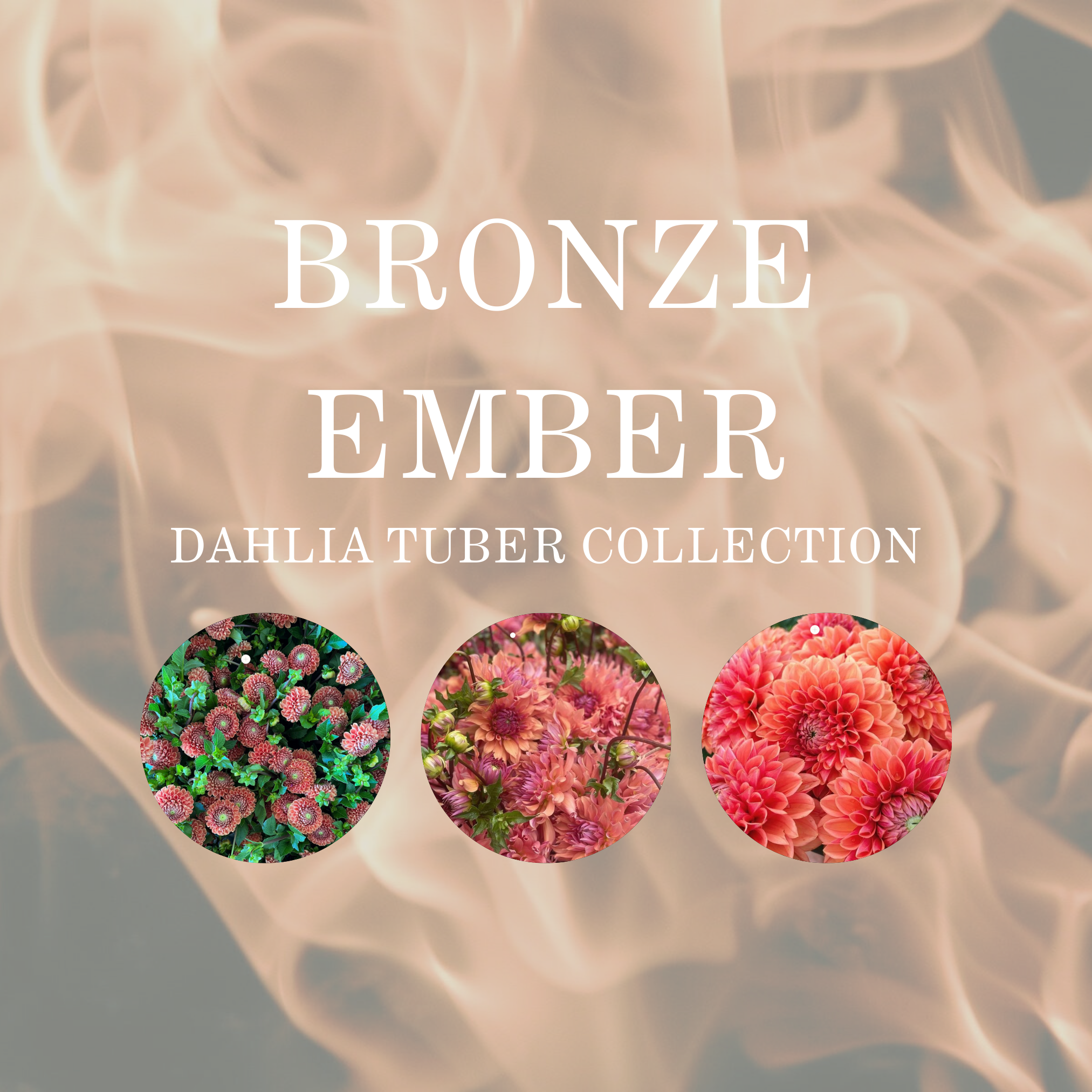 BRONZE EMBER COLLECTION