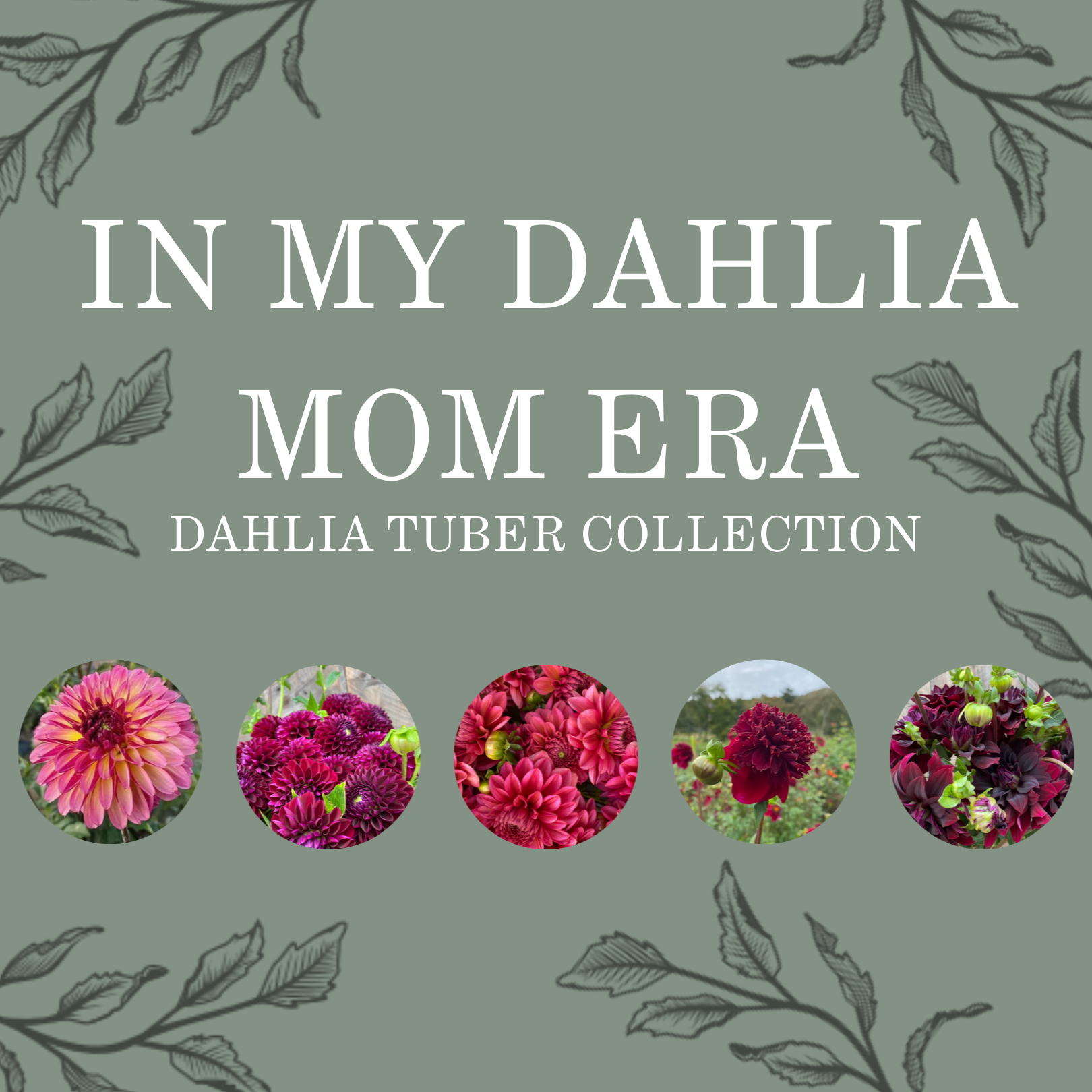 IN MY DAHLIA MOM ERA COLLECTION