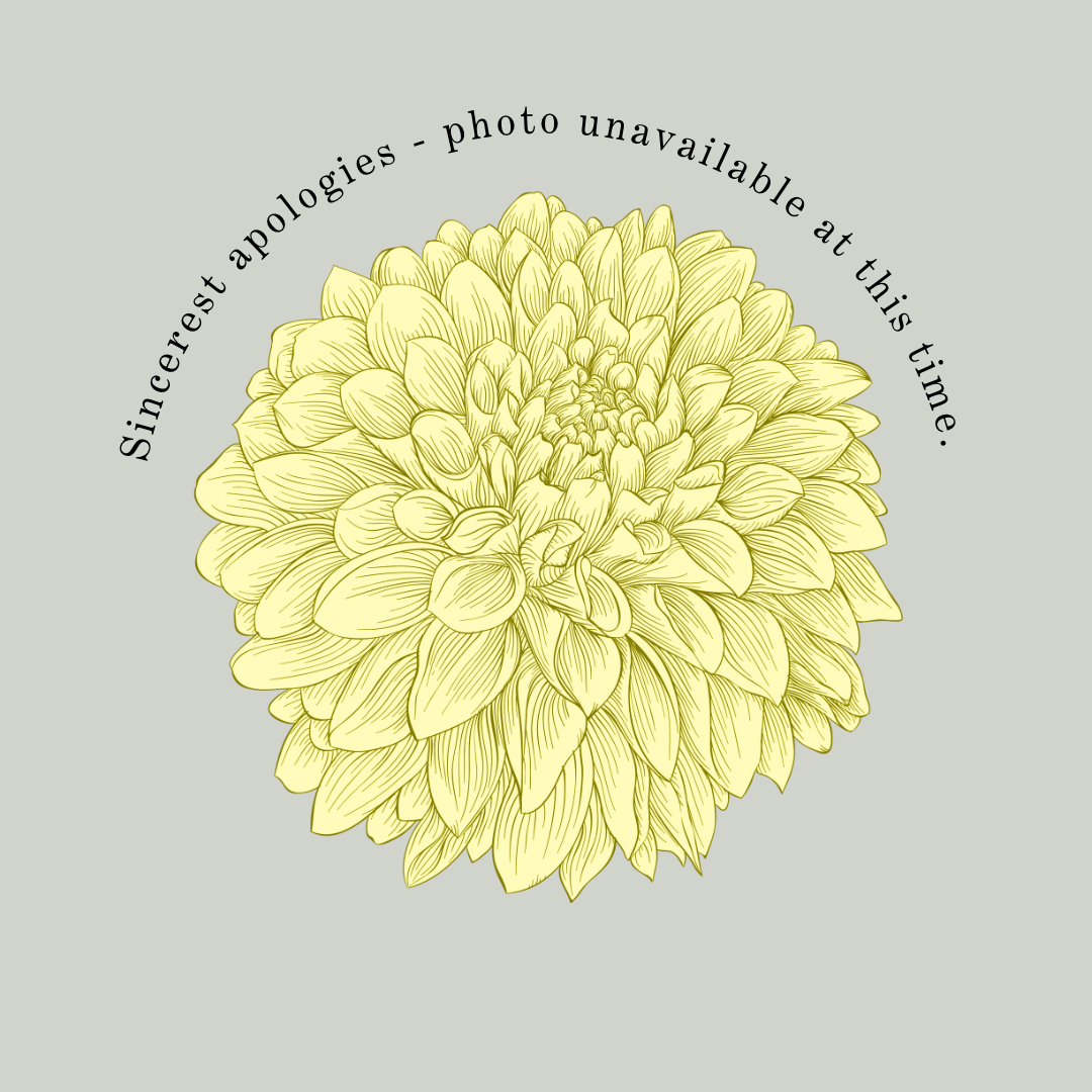 CITRON DU CAP