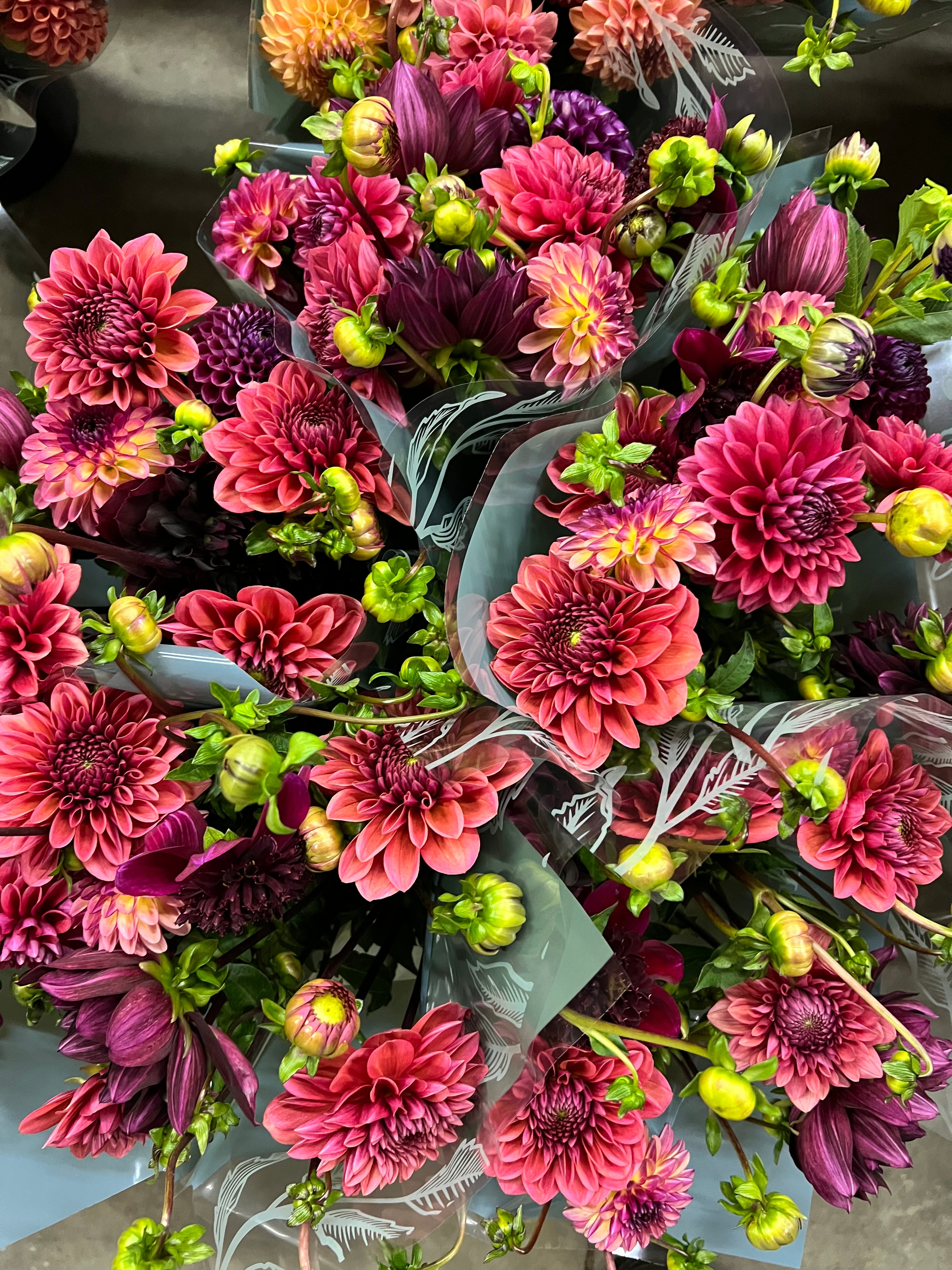 IN MY DAHLIA MOM ERA COLLECTION