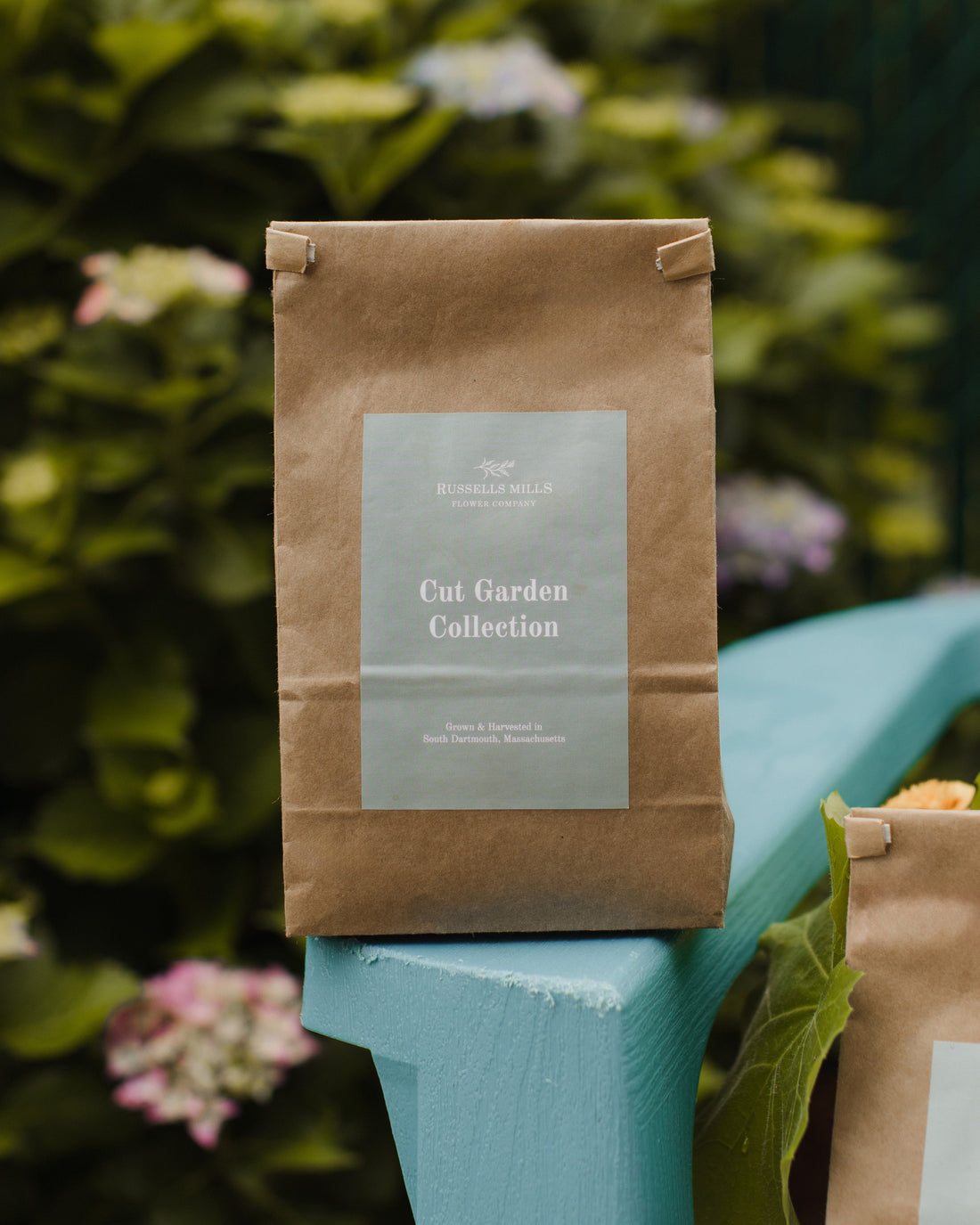 CUT GARDEN COLLECTION