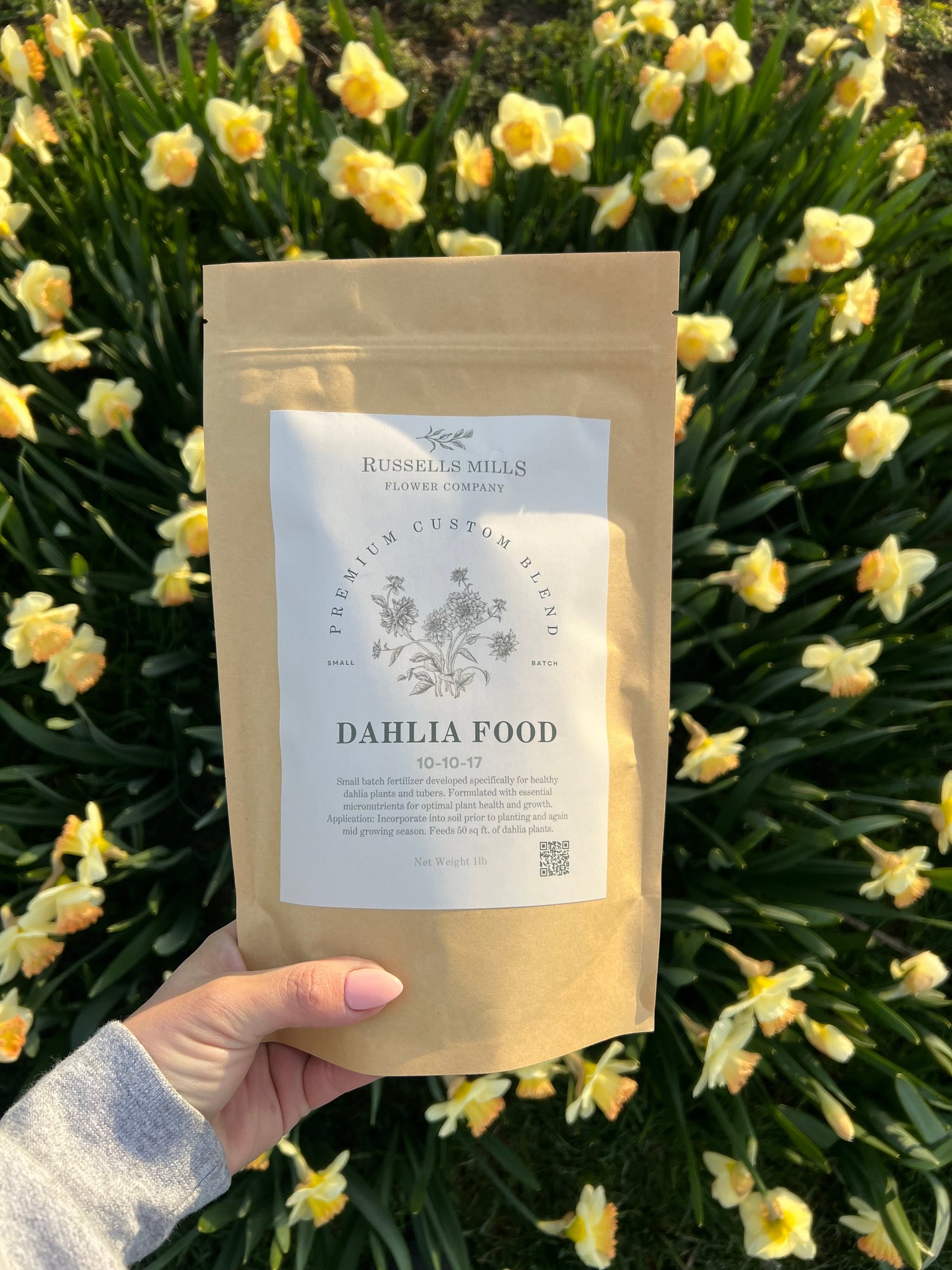 Dahlia Food Fertilizer in hand