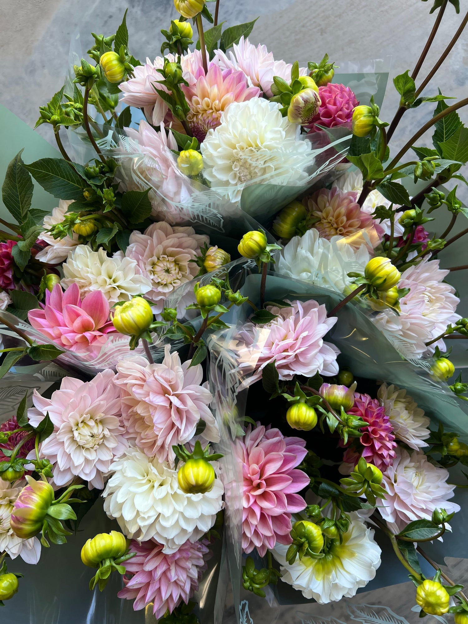 The Best Dahlia Varieties for Cut Flowers