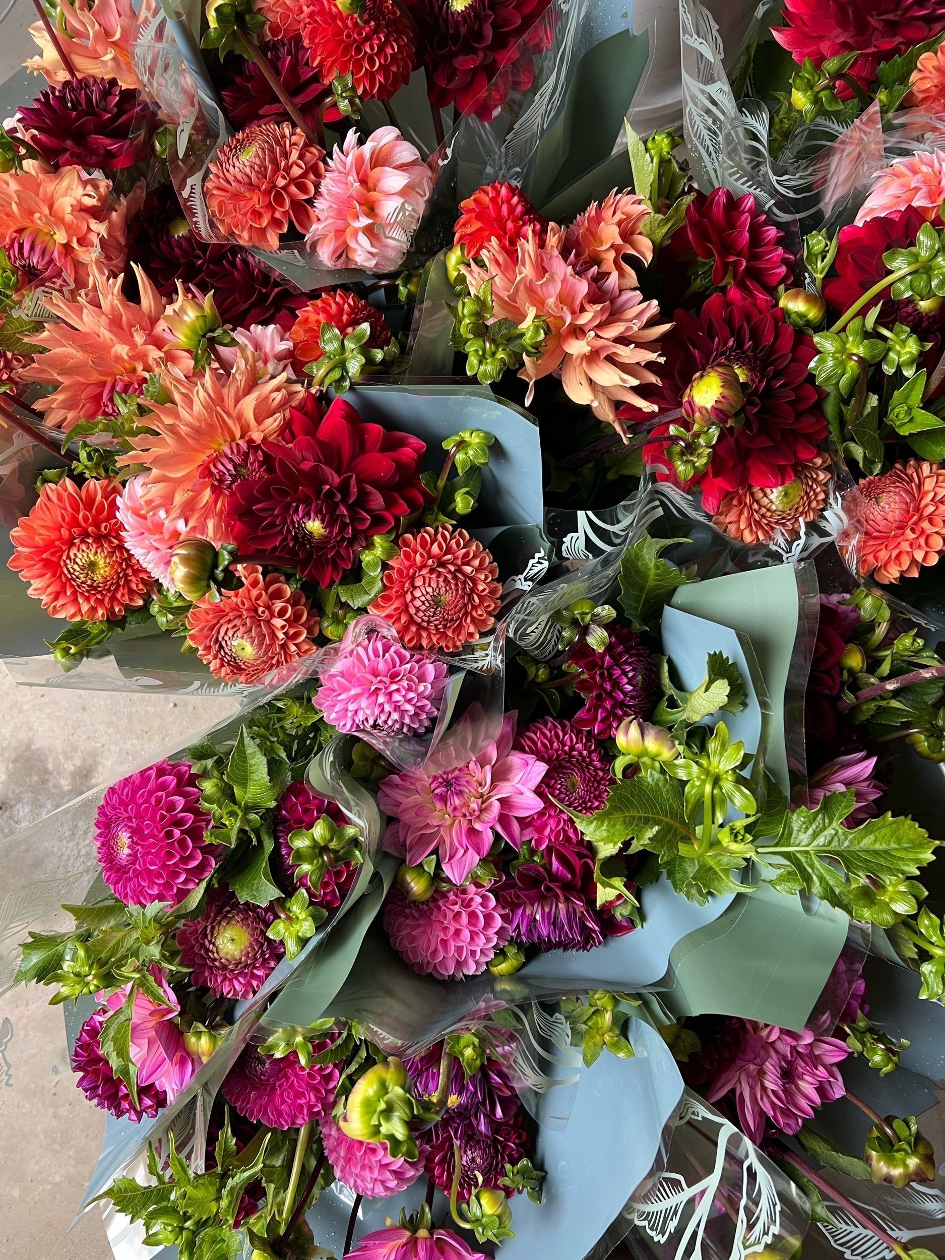 The Art of the Dahlia Bouquet