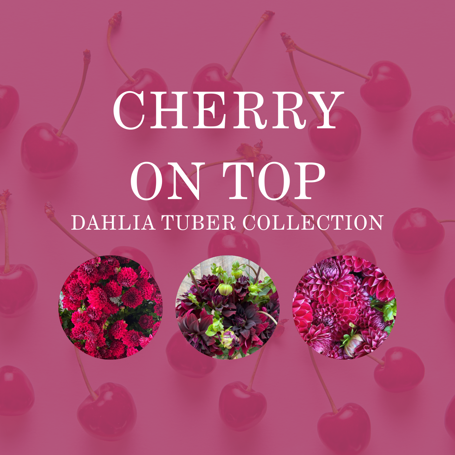 CHERRY ON TOP COLLECTION