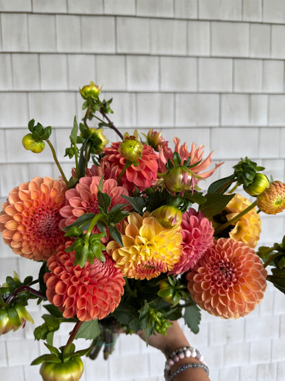 PEACH AND QUIET COLLECTION