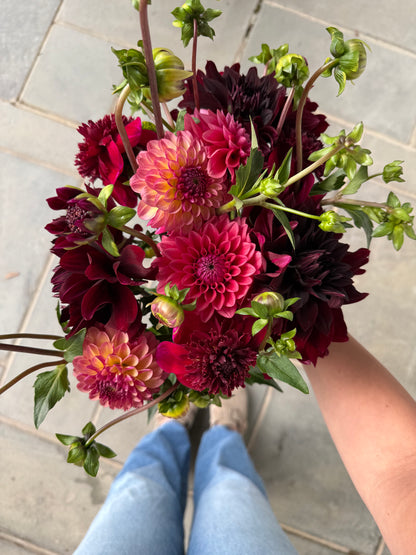 IN MY DAHLIA MOM ERA COLLECTION