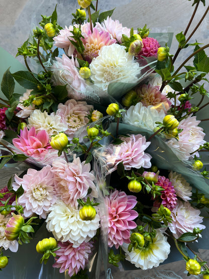 SWEETHEART SERENADE COLLECTION