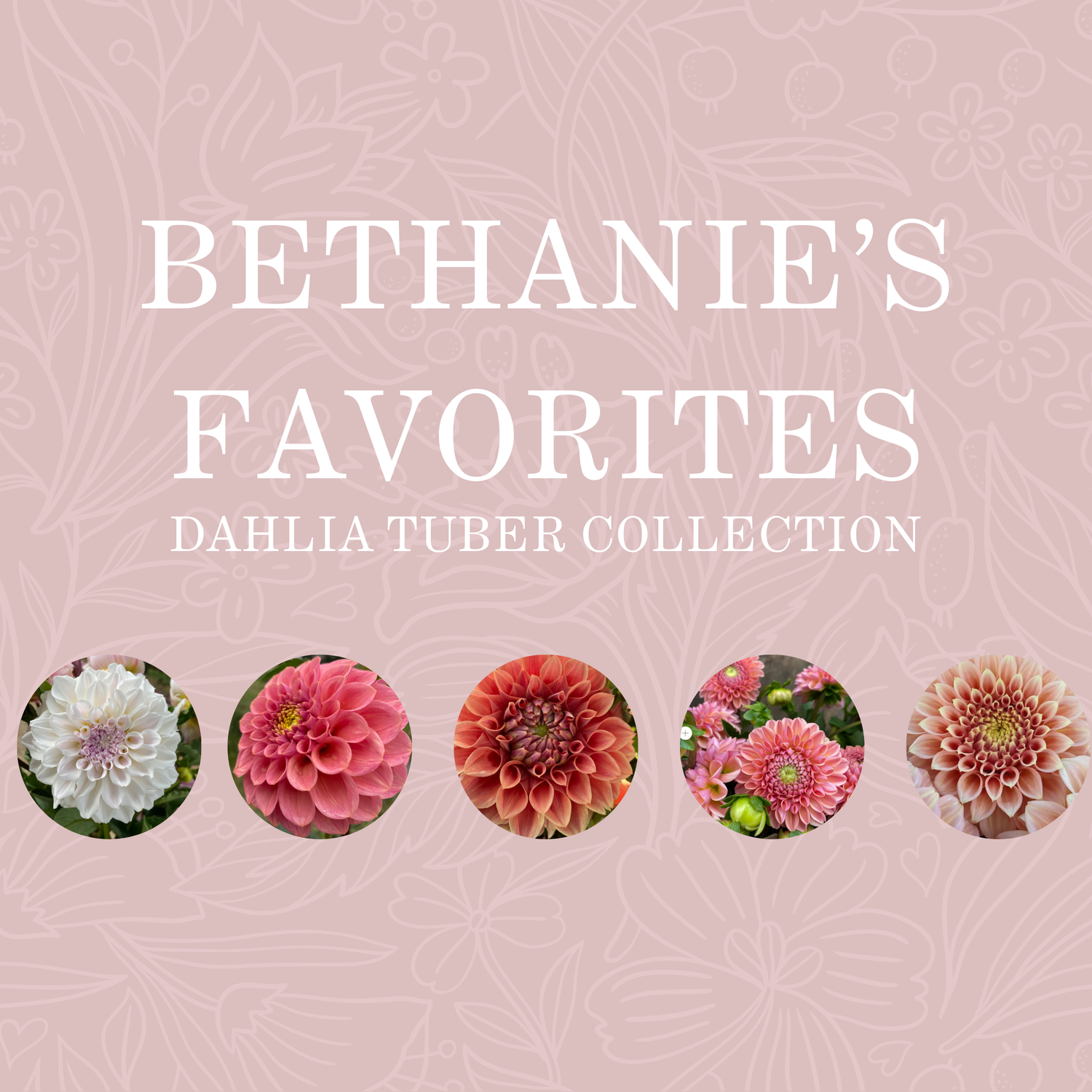 BETHANIE&