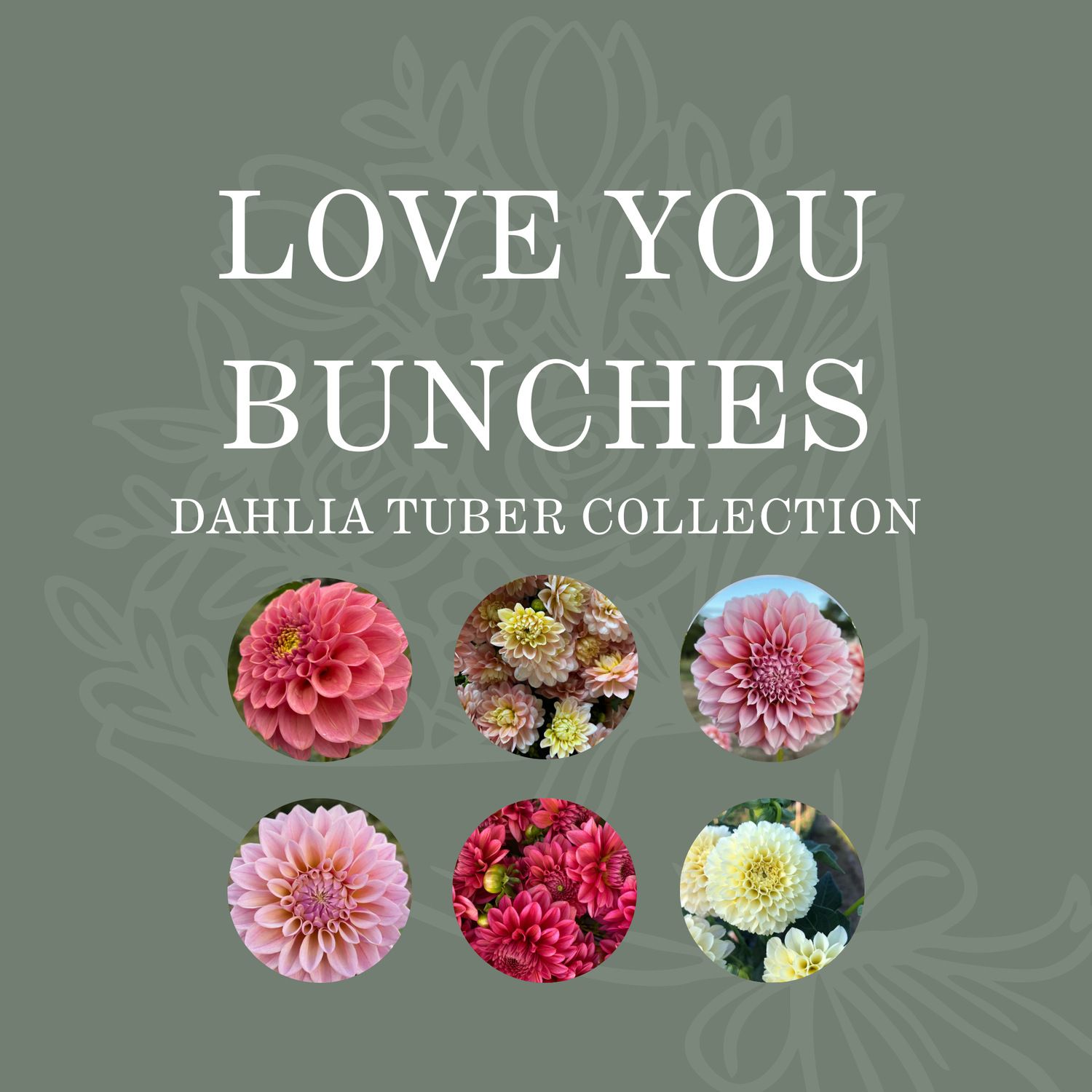 LOVE YOU BUNCHES COLLECTION