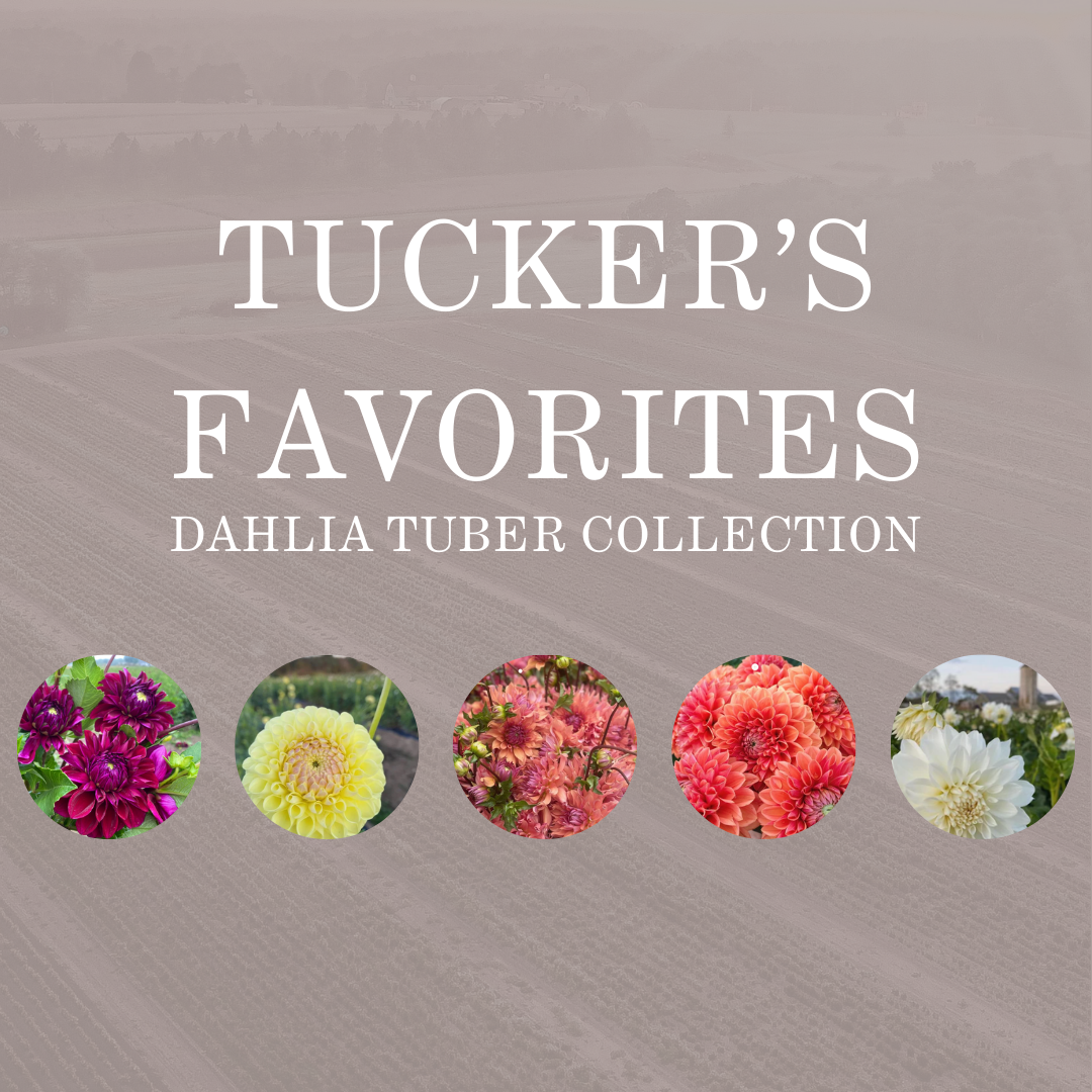 TUCKER&