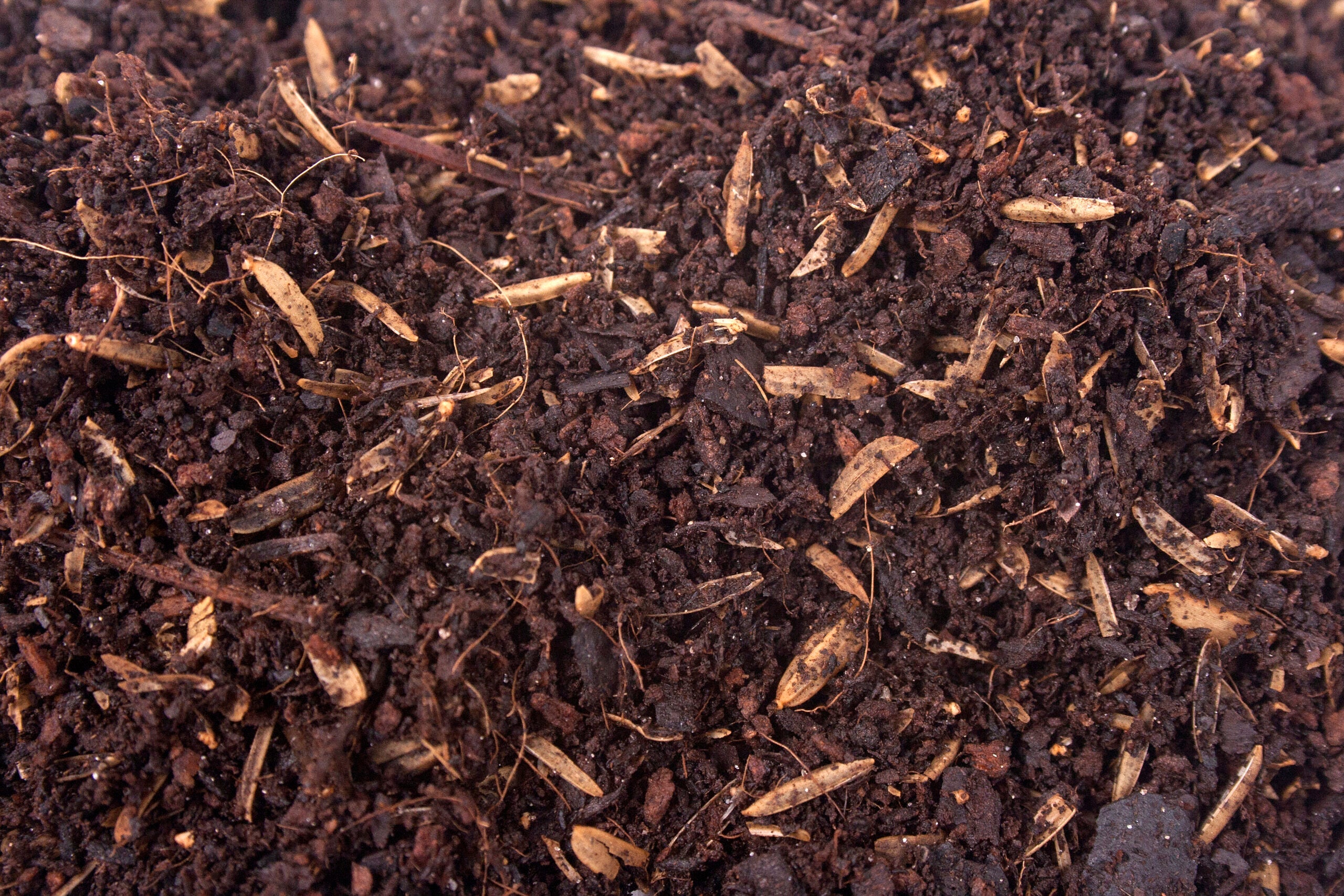 POTTING SOIL FOR DAHLIAS