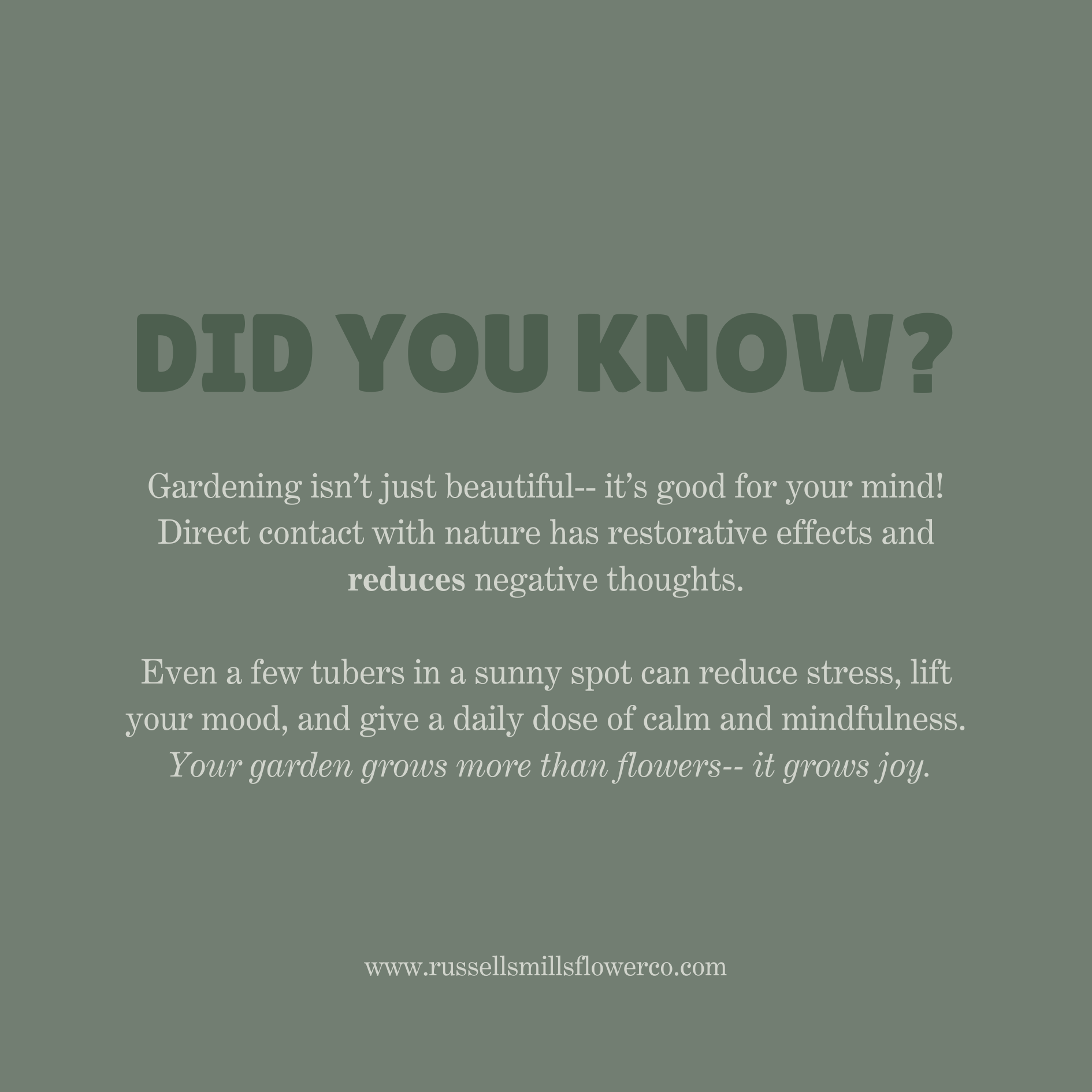 CUT GARDEN COLLECTION