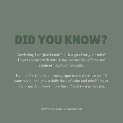 CUT GARDEN COLLECTION