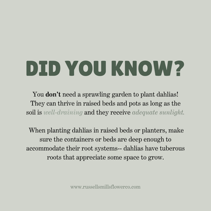 CUT GARDEN COLLECTION